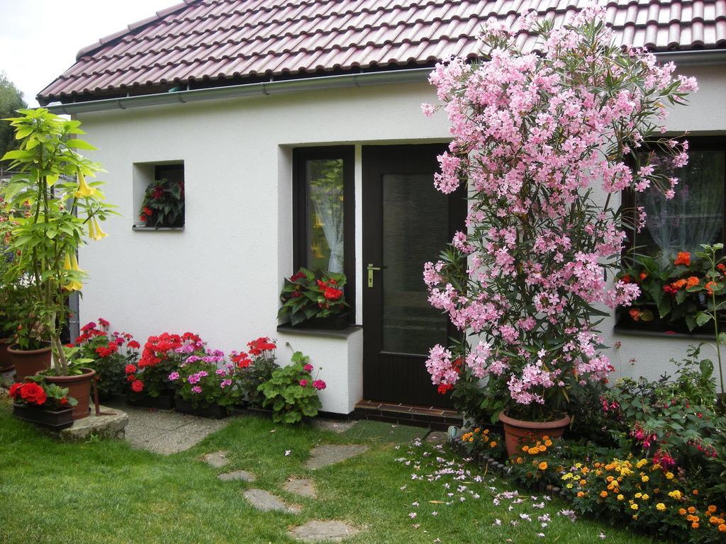 Penzion Nevcehle Urbanov Exteriör bild